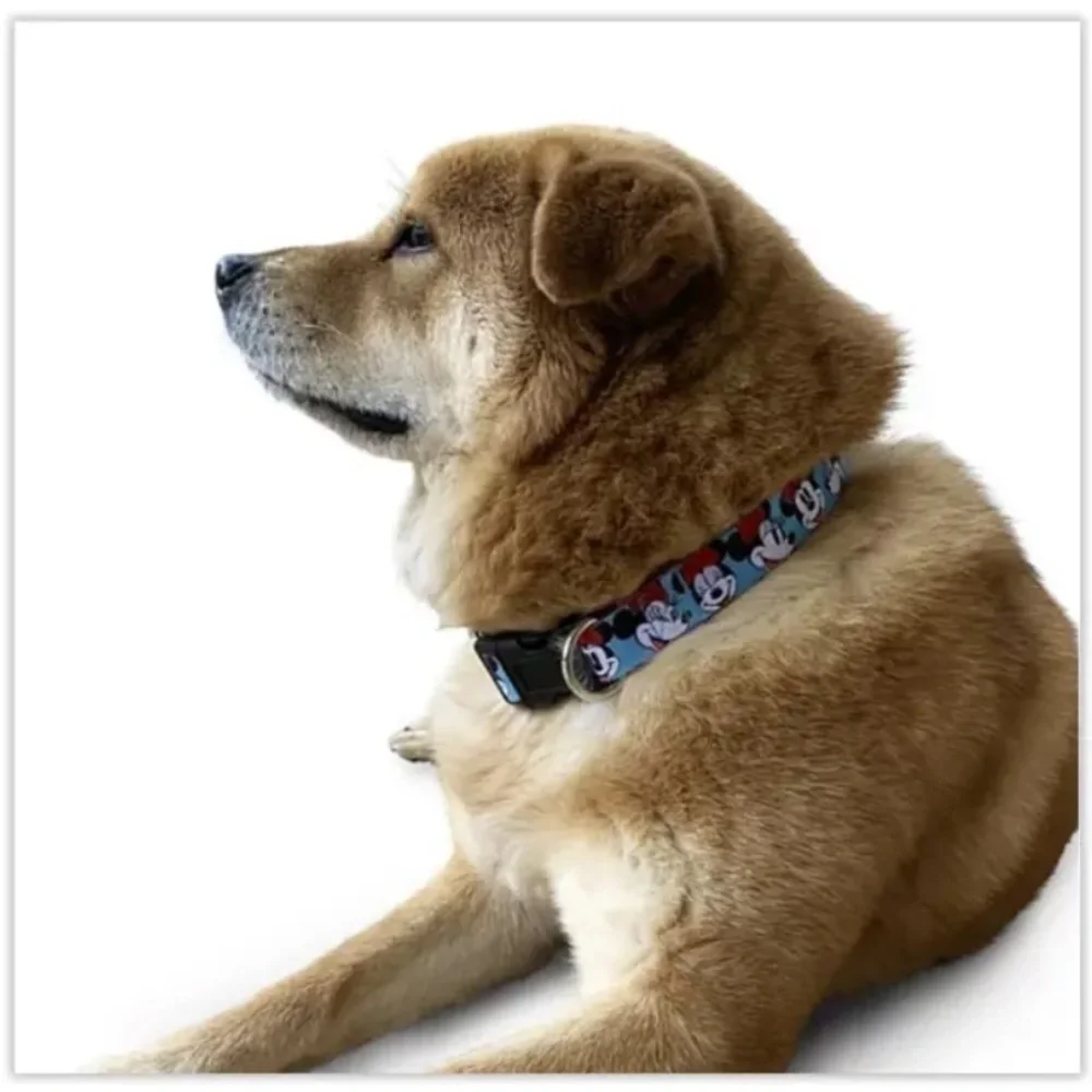 Disney Minnie Mouse Faces Blue Dog Collar Adjustable Med 12.9-20.5